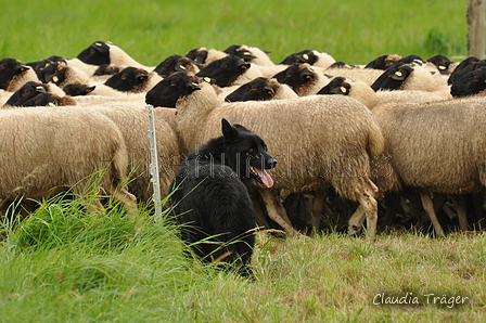 AAH Bundeshüten 2017 / Bild 20 von 352 / 09.09.2017 11:30 / DSC_0334.JPG