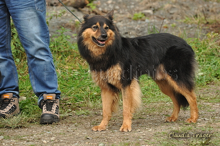 AAH Bundeshüten 2017 / Bild 25 von 352 / 09.09.2017 11:40 / DSC_0429.JPG