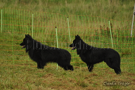 AAH Bundeshüten 2017 / Bild 44 von 352 / 09.09.2017 12:01 / DSC_0592.JPG