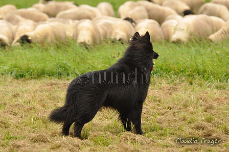 AAH Bundeshüten 2017 / Bild 48 von 352 / 09.09.2017 12:10 / DSC_0721.JPG