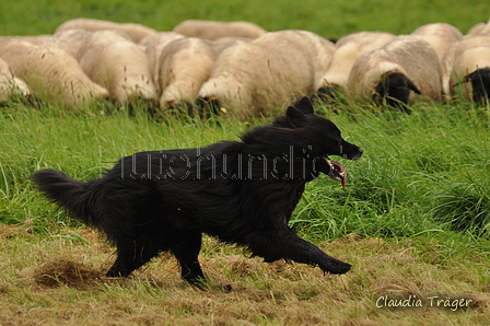 AAH Bundeshüten 2017 / Bild 50 von 352 / 09.09.2017 12:11 / DSC_0767.JPG