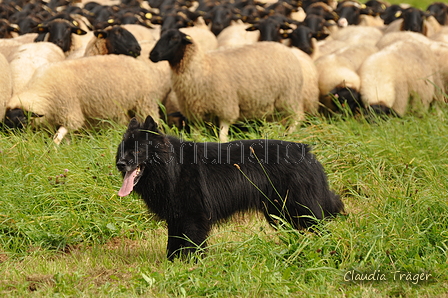 AAH Bundeshüten 2017 / Bild 55 von 352 / 09.09.2017 12:34 / DSC_1020.JPG