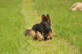 AAH Bundeshüten 2017 / Bild 98 von 352 / 09.09.2017 14:25 / DSC_1550.JPG