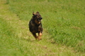 AAH Bundeshüten 2017 / Bild 102 von 352 / 09.09.2017 14:27 / DSC_1563.JPG