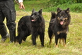 Vorschau von Bild 135 von 352