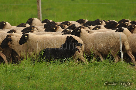 AAH Bundeshüten 2017 / Bild 165 von 352 / 09.09.2017 16:36 / DSC_2780.JPG