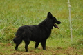 AAH Bundeshüten 2017 / Bild 203 von 352 / 10.09.2017 09:54 / DSC_3635.JPG