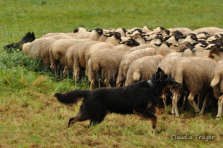 AAH Bundeshüten 2017 / Bild 206 von 352 / 10.09.2017 09:55 / DSC_3650.JPG