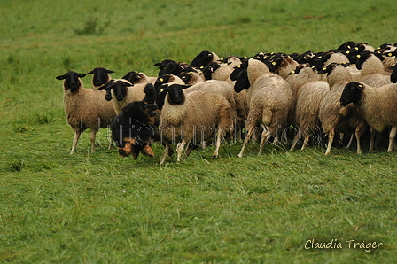 AAH Bundeshüten 2017 / Bild 239 von 352 / 10.09.2017 10:47 / DSC_4128.JPG