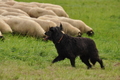 AAH Bundeshüten 2017 / Bild 287 von 352 / 10.09.2017 13:50 / DSC_4963.JPG