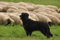 AAH Bundeshüten 2017 / Bild 289 von 352 / 10.09.2017 13:50 / DSC_4969.JPG