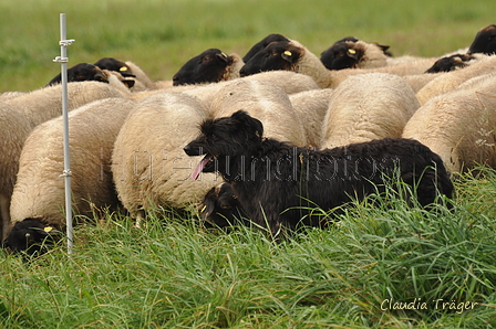 AAH Bundeshüten 2017 / Bild 303 von 352 / 10.09.2017 14:23 / DSC_5376.JPG