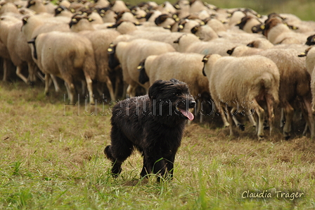 AAH Bundeshüten 2017 / Bild 305 von 352 / 10.09.2017 14:24 / DSC_5408.JPG