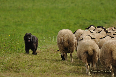 AAH Bundeshüten 2017 / Bild 308 von 352 / 10.09.2017 14:25 / DSC_5430.JPG