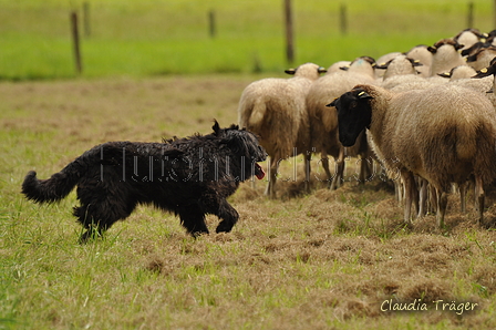 AAH Bundeshüten 2017 / Bild 309 von 352 / 10.09.2017 14:27 / DSC_5449.JPG