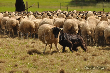 AAH Bundeshüten 2017 / Bild 317 von 352 / 10.09.2017 14:27 / DSC_5461.JPG