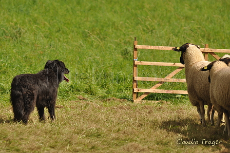 AAH Bundeshüten 2017 / Bild 322 von 352 / 10.09.2017 14:29 / DSC_5475.JPG