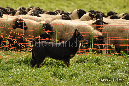 AAH Bundeshüten 2017 / Bild 328 von 352 / 10.09.2017 15:05 / DSC_5720.JPG