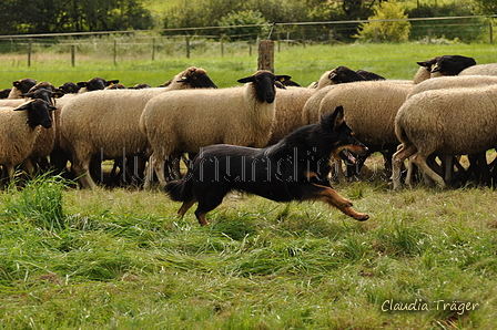 AAH Bundeshüten 2017 / Bild 330 von 352 / 10.09.2017 15:06 / DSC_5739.JPG