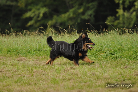 AAH Bundeshüten 2017 / Bild 335 von 352 / 10.09.2017 15:13 / DSC_5825.JPG