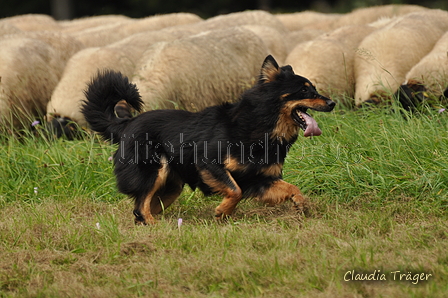 AAH Bundeshüten 2017 / Bild 336 von 352 / 10.09.2017 15:14 / DSC_5845.JPG