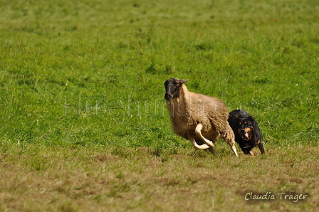 AAH Bundeshüten 2017 / Bild 337 von 352 / 10.09.2017 15:16 / DSC_5865.JPG