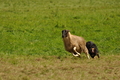 AAH Bundeshüten 2017 / Bild 337 von 352 / 10.09.2017 15:16 / DSC_5865.JPG