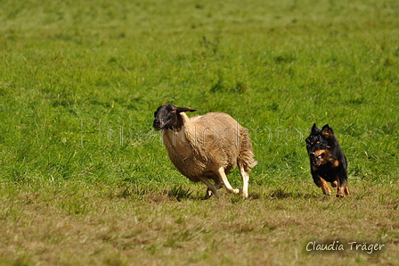 AAH Bundeshüten 2017 / Bild 338 von 352 / 10.09.2017 15:16 / DSC_5866.JPG