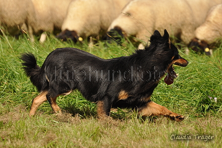 AAH Bundeshüten 2017 / Bild 341 von 352 / 10.09.2017 15:21 / DSC_5913.JPG