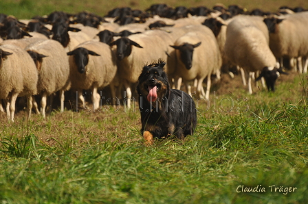 AAH Bundeshüten 2017 / Bild 343 von 352 / 10.09.2017 15:32 / DSC_6026.JPG