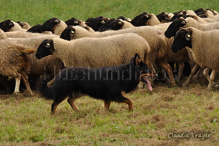 AAH Bundeshüten 2017 / Bild 345 von 352 / 10.09.2017 15:51 / DSC_6191.JPG