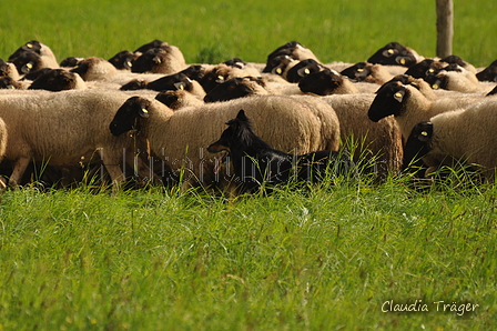 AAH Bundeshüten 2017 / Bild 348 von 352 / 10.09.2017 15:55 / DSC_6272.JPG