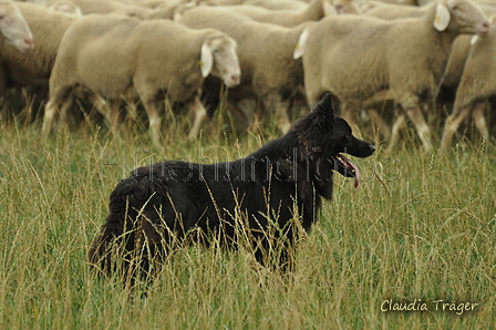 AAH Bundeshüten 2019 / Bild 1 von 88 / 07.09.2019 09:06 / DSC_5679.JPG