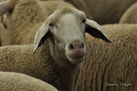 AAH Bundeshüten 2019 / Bild 3 von 88 / 07.09.2019 10:08 / DSC_5956.JPG