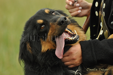 AAH Bundeshüten 2019 / Bild 11 von 88 / 07.09.2019 11:02 / DSC_6312.JPG