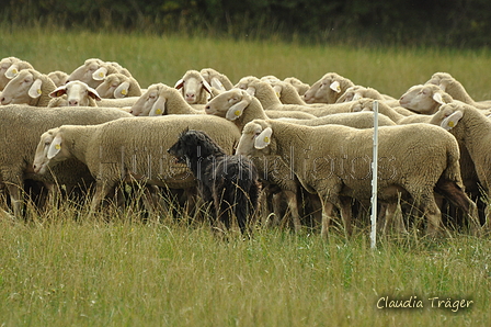 AAH Bundeshüten 2019 / Bild 16 von 88 / 07.09.2019 12:28 / DSC_6870.JPG