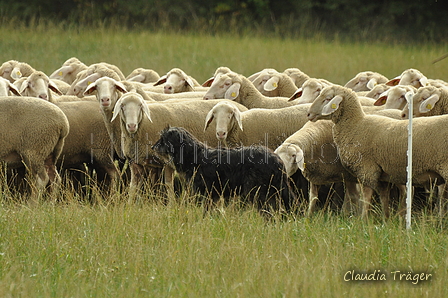 AAH Bundeshüten 2019 / Bild 17 von 88 / 07.09.2019 12:29 / DSC_6872.JPG