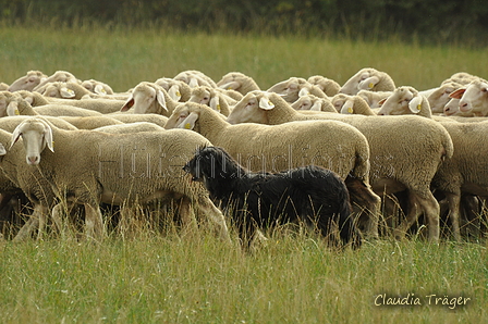 AAH Bundeshüten 2019 / Bild 19 von 88 / 07.09.2019 12:29 / DSC_6880.JPG