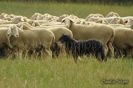 AAH Bundeshüten 2019 / Bild 20 von 88 / 07.09.2019 12:29 / DSC_6881.JPG