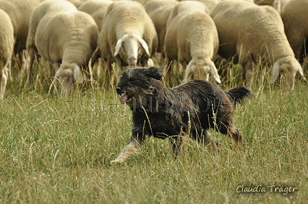 AAH Bundeshüten 2019 / Bild 22 von 88 / 07.09.2019 12:39 / DSC_7090.JPG