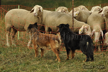 AAH Bundeshüten 2019 / Bild 27 von 88 / 07.09.2019 13:33 / DSC_7714.JPG