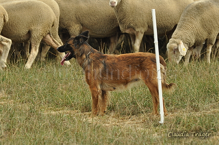 AAH Bundeshüten 2019 / Bild 29 von 88 / 07.09.2019 13:47 / DSC_7901.JPG