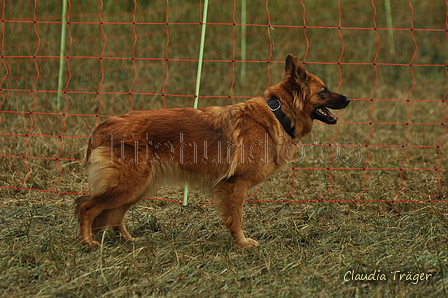 AAH Bundeshüten 2019 / Bild 40 von 88 / 07.09.2019 15:12 / DSC_8812.JPG