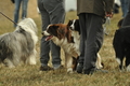 AAH Bundeshüten 2019 / Bild 52 von 88 / 08.09.2019 12:12 / DSC_0838.JPG