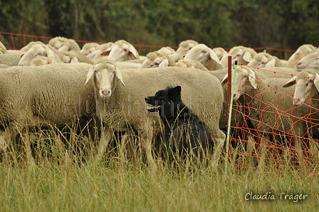 AAH Bundeshüten 2019 / Bild 71 von 88 / 08.09.2019 13:00 / DSC_1324.JPG