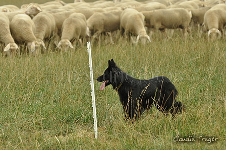 AAH Bundeshüten 2019 / Bild 72 von 88 / 08.09.2019 13:10 / DSC_1472.JPG