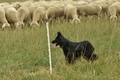 AAH Bundeshüten 2019 / Bild 72 von 88 / 08.09.2019 13:10 / DSC_1472.JPG