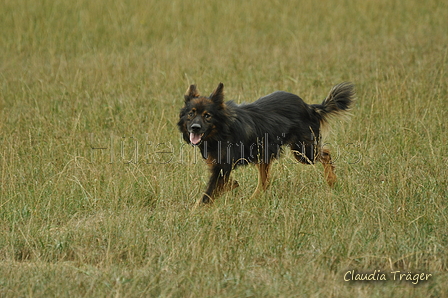 AAH Bundeshüten 2019 / Bild 83 von 88 / 08.09.2019 14:39 / DSC_2322.JPG