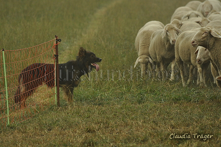 AAH Bundeshüten 2019 / Bild 88 von 88 / 08.09.2019 15:00 / DSC_2713.JPG