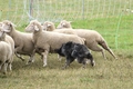 Vorschau von Bild 63 von 214